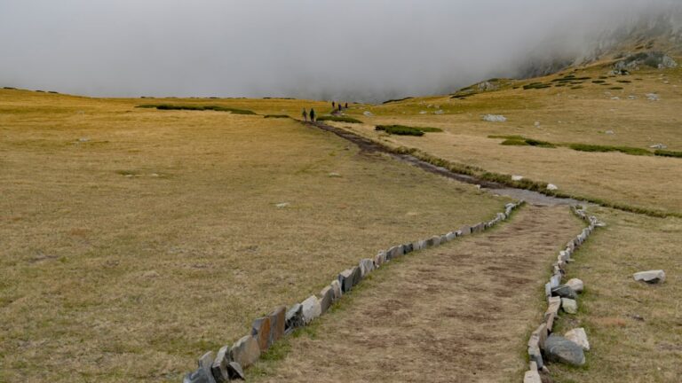 découvrez les dernières prévisions météorologiques, astuces pour comprendre la météo et conseils pour mieux anticiper le temps dans votre région. restez informé grâce à nos analyses et outils pratiques !