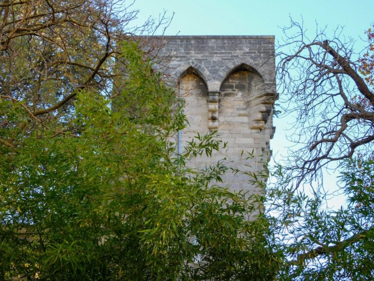 découvrez le collège camille claudel à montpellier, un établissement scolaire dédié à offrir un enseignement de qualité et un environnement accueillant pour les élèves.